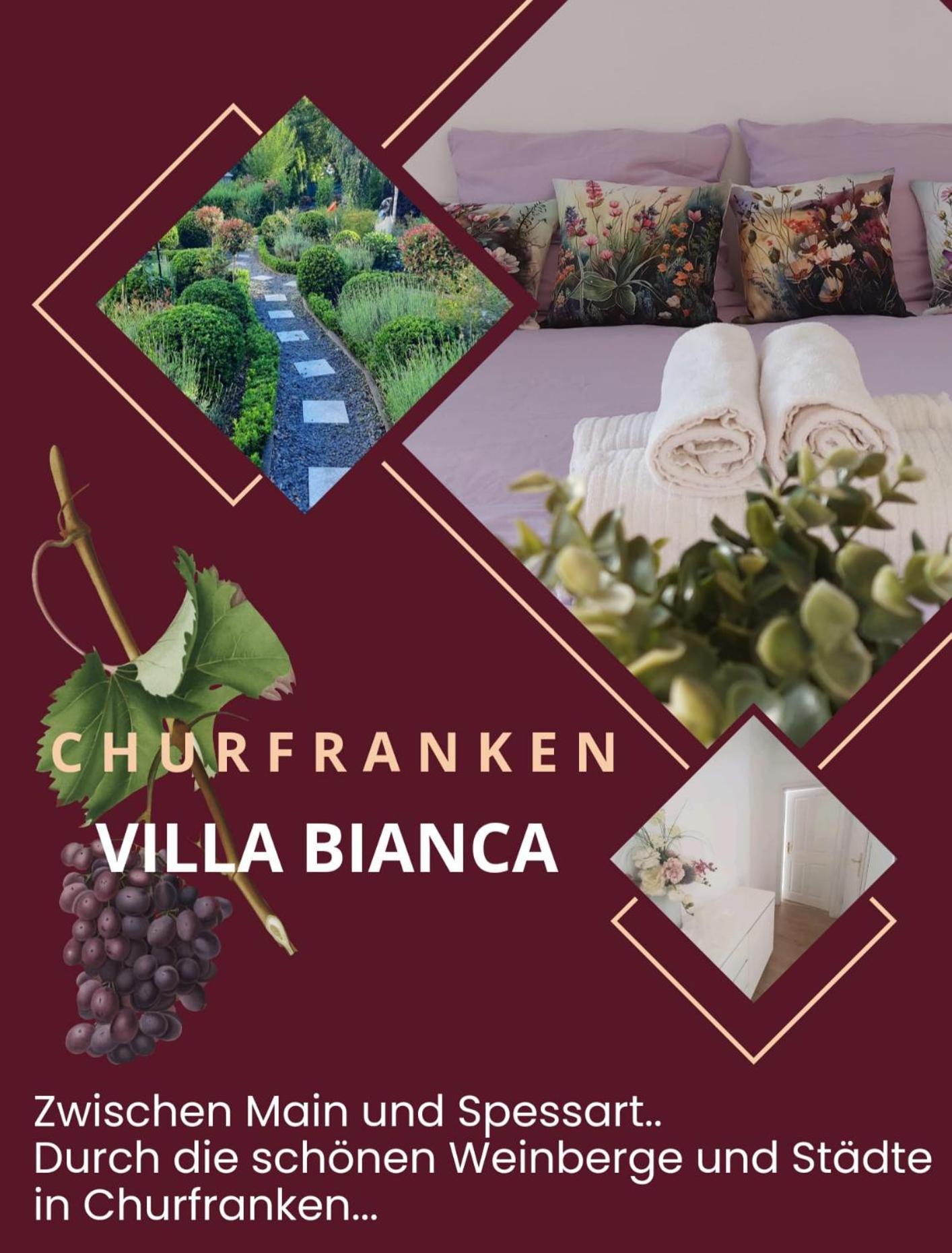 Villa Bianca - Holiday & Business Elsenfeld Εξωτερικό φωτογραφία